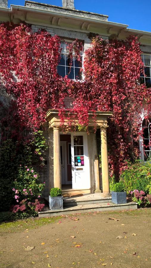 The Lynch Country House Somerton  Exteriör bild
